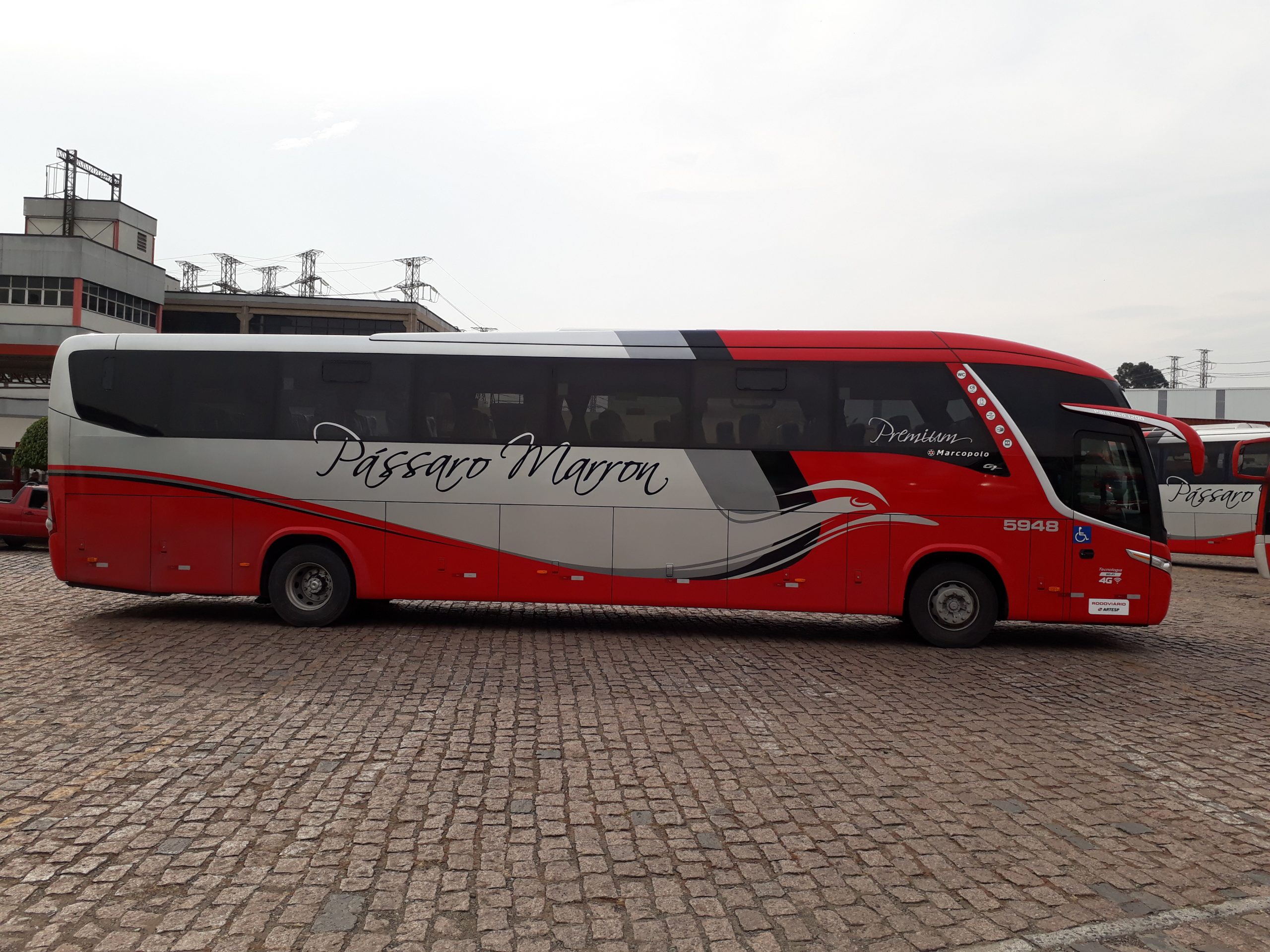 frota passaro marron